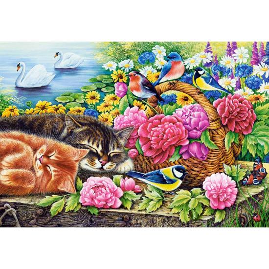 Castorland Lazy Sunday Puzzle 1000 pièces