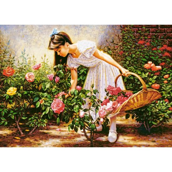 Puzzle Castorland Le jardin de roses 1000 pièces