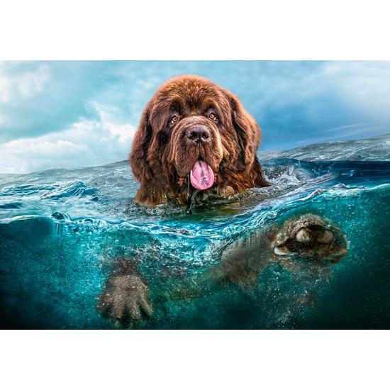 Puzzle Castorland Les Naufragés 1000 pièces