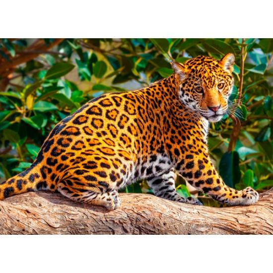 Puzzle Castorland Le Petit Jaguar 260 pièces