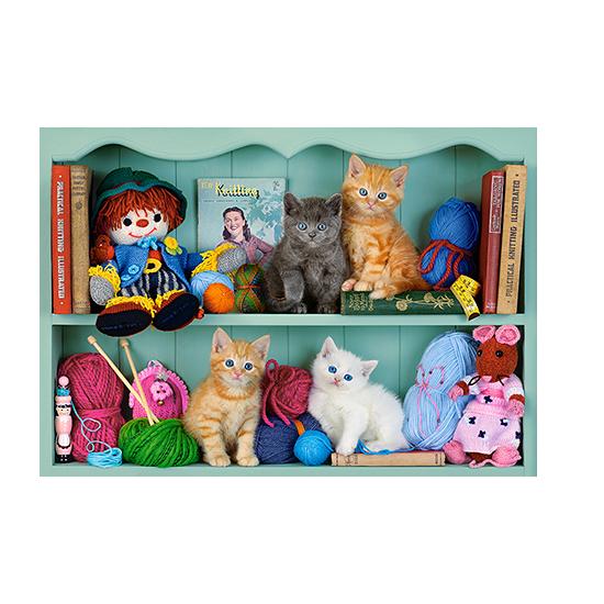 Castorland Puzzle Chaton Étagère 500 pièces