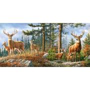 Castorland Royal Deer Family Puzzle 4000 pièces