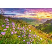 Castorland Wildflowers at Dawn Puzzle 500 pièces