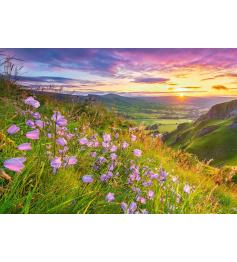 Castorland Wildflowers at Dawn Puzzle 500 pièces
