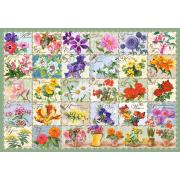 Castorland Puzzle 1000 pièces Fleurs vintage