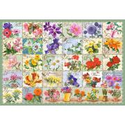 Castorland Puzzle 1000 pièces Fleurs vintage