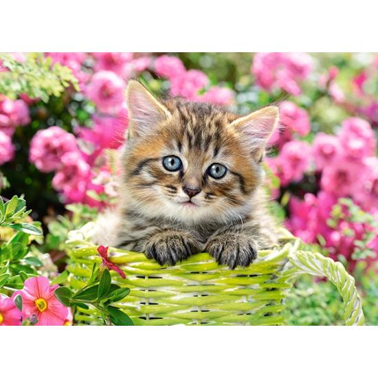 Puzzle Castorland Chaton dans un jardin fleuri 100 pièces