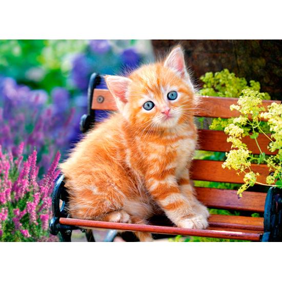 Puzzle Castorland Chaton blond 180 pièces