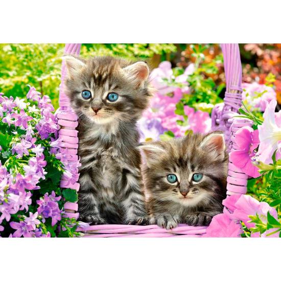 Castorland Chatons dans le jardin d'été Puzzle 1000 pièces