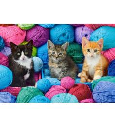 Castorland Chatons dans Thread Shop Puzzle 1000 pièces