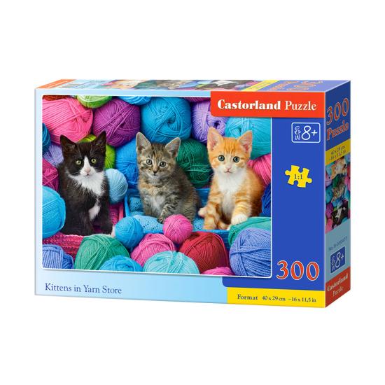 Puzzle Castorland Chatons dans Thread Shop 300 pièces