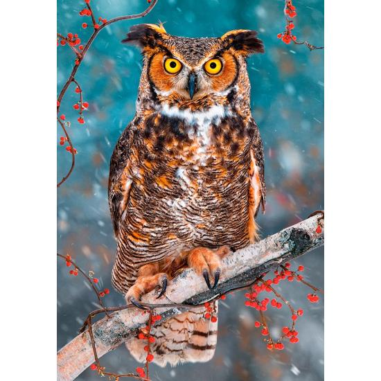 Castorland Grand-duc d'Amérique Puzzle 500 pièces