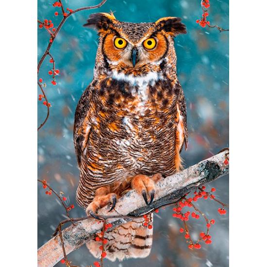 Puzzle Castorland Grand-duc d'Amérique 260 pièces