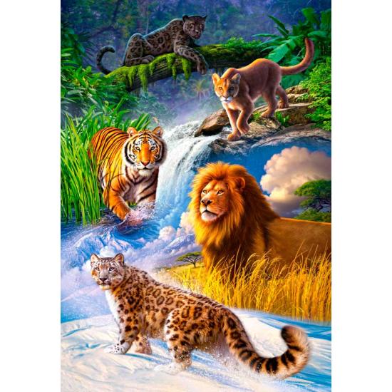 Puzzle Castorland Big Cats 1000 pièces