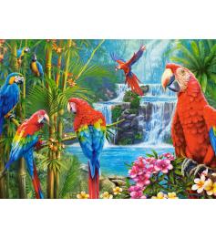 Puzzle Castorland Groupe de Perroquets 2000 pièces
