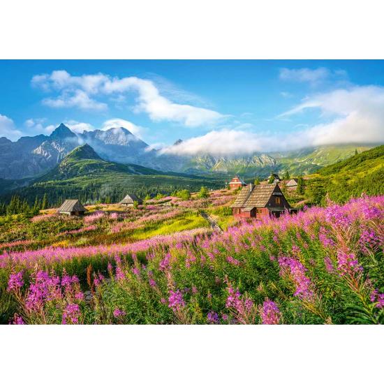 Castorland Hala Gasienicowa, Tatra, Pologne Puzzle 1000 pièces
