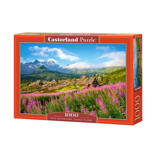 Castorland Hala Gasienicowa, Tatra, Pologne Puzzle 1000 pièces