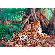 Puzzle Castorland Jaguars dans la jungle 3000 pièces