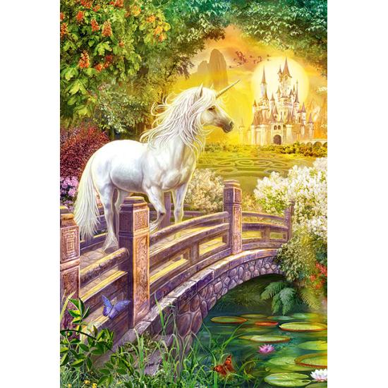 Castorland Enchanted Garden Puzzle 1000 pièces