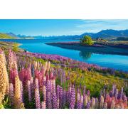 Puzzle Castorland Lac Tekapo, Nouvelle-Zélande de 500 Pieces