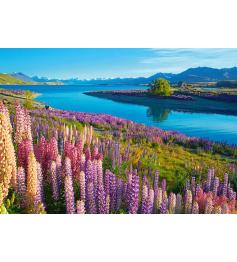 Puzzle Castorland Lac Tekapo, Nouvelle-Zélande de 500 Pieces