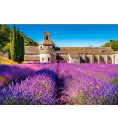 Puzzle Castorland Lavandes à Notre Dame de Sénanque 1000 Pz