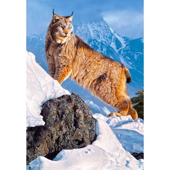 Puzzle Castorland Lynx sur la montagne 1000 pièces