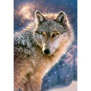 Castorland Lone Wolf Puzzle 500 pièces