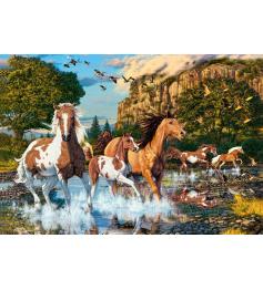 Puzzle Castorland Le Pays des Chevaux 1000 Pièces