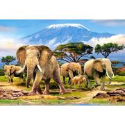 Castorland Matin sur le Kilimandjaro Puzzle 1000 pièces