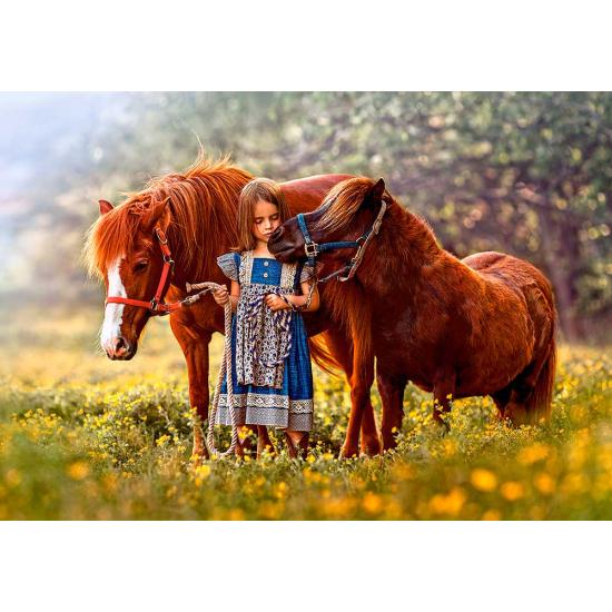 Puzzle 500 pièces Mon petit poney de Castorland