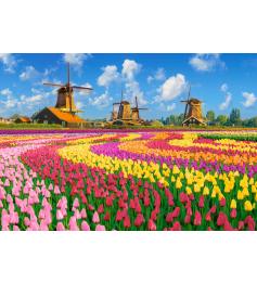Puzzle Castorland Moulins Hollandais Parmi Les Tulipes 1000 pièc