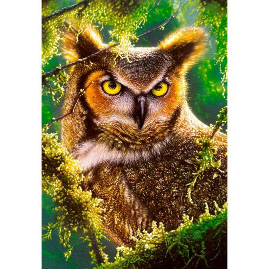 Castorland Watching and Waiting Puzzle 1000 pièces Castorland Watching and Waiting Puzzle 1000 pièces