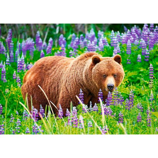 Puzzle Castorland Ours dans le pré 500 pièces
