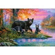 Castorland Pêche Ours Puzzle 1000 pièces