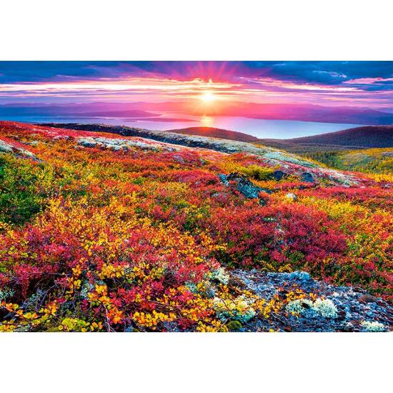 Castorland Puzzle Palette Fleurs du Nord 1000 pièces