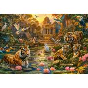 Puzzle Castorland Paradis Des Tigres 1000 pièce