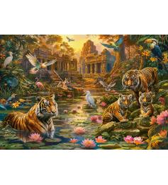 Puzzle Castorland Paradis Des Tigres 1000 pièce