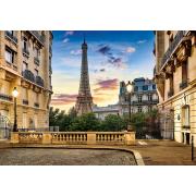 Puzzle Castorland Balade dans Paris au coucher du soleil 1000 pi