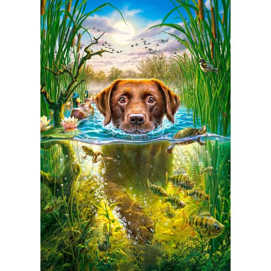 Puzzle Chien nageur Castorland 500 pièces