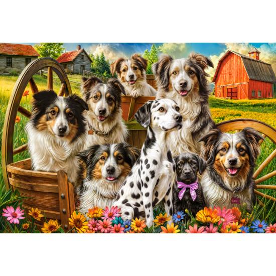 Puzzle Castorland Chiens Heureux À La Campagne 1000 pièce