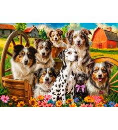 Puzzle Castorland Chiens Heureux À La Campagne 260 pièces