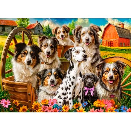 Puzzle Castorland Chiens Heureux À La Campagne 260 pièces