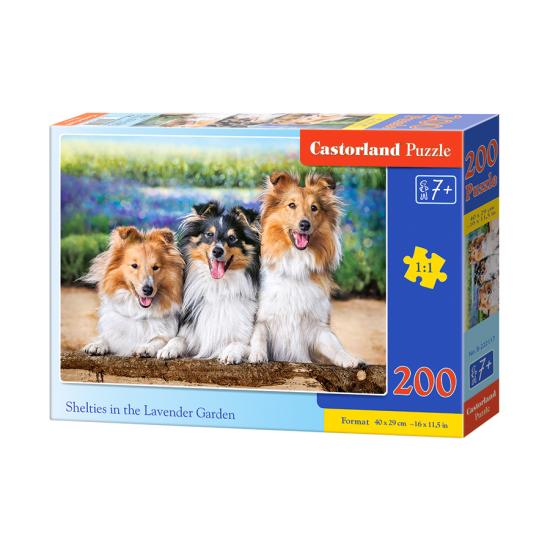 Castorland Puzzle Shelties Dogs in Lavande 200 pièces