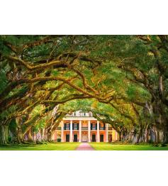 Puzzle Castorland Paseo de Robles Plantation 1000 pièces