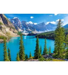 Puzzle Castorland Spring in Moraine Lake, Canada 500 Pz