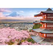 Puzzle Castorland Le Printemps Au Japon 500 pièces