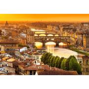 Castorland Puzzle Ponts de Florence 1000 pièces