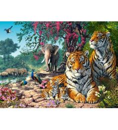 Castorland Tiger Sanctuary Puzzle 3000 pièces