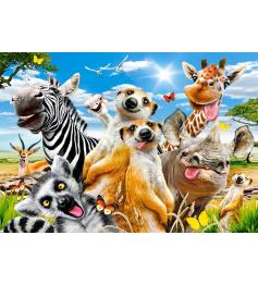 Castorland Selfie Animaux d'Afrique Puzzle 500 pièces